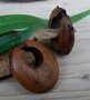 2) Oorbellen natuurlijke materialen