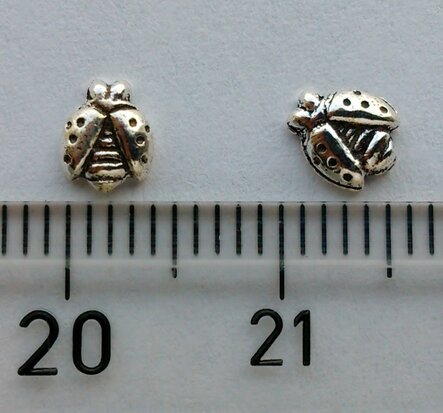 lieveheersbeestjes oorknopjes