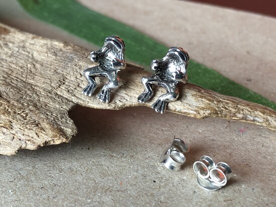 oorknopjes kikker zilver