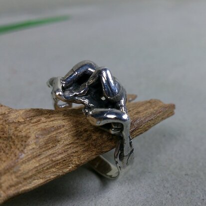 zilveren ring