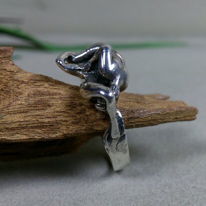 erotische sieraden