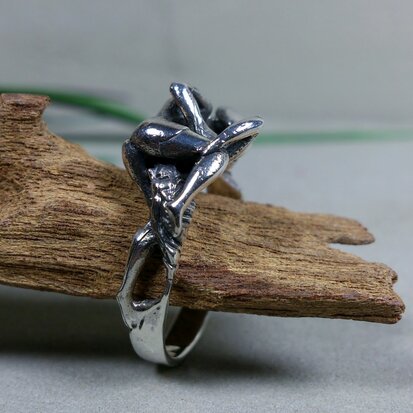 liefdes ring