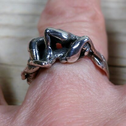 ring met standje