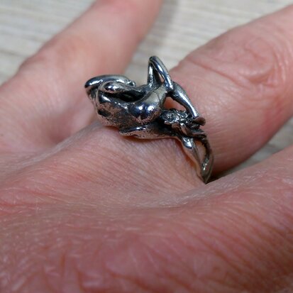zilveren ring