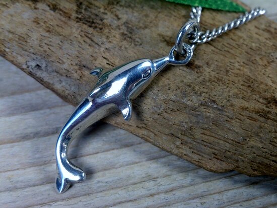 zilveren dolfijn hangertje