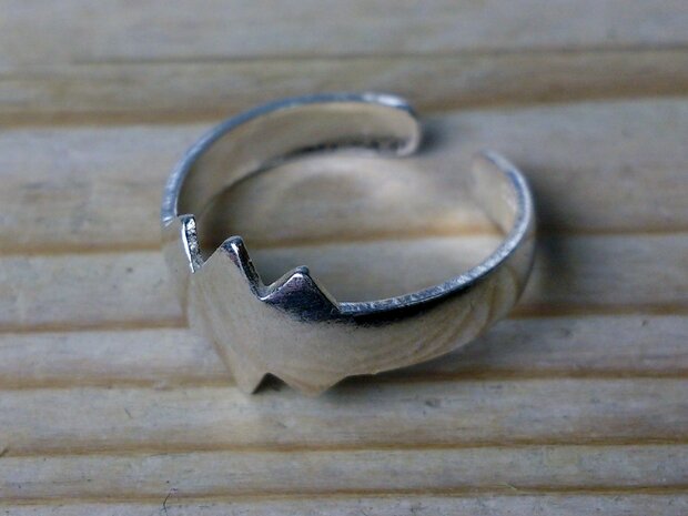 teenring echt zilver