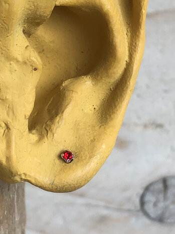 kleine zilveren oorknopjes rood steentje