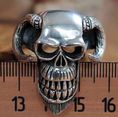 zilveren skull
