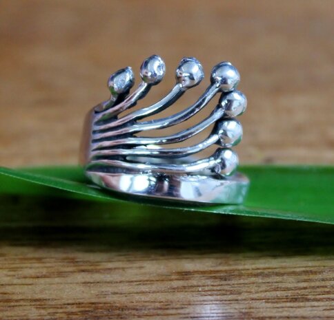 zilveren dames ring