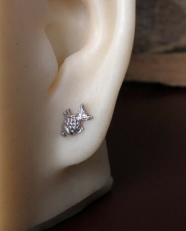 zilveren oorknopjes vis