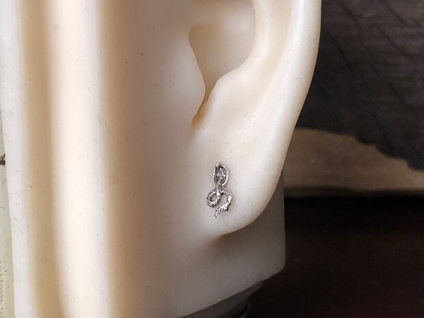 oorknopjes cobra zilver