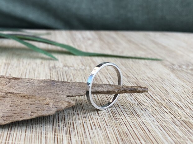 smalle zilveren ring