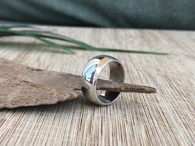gladde zilveren ring