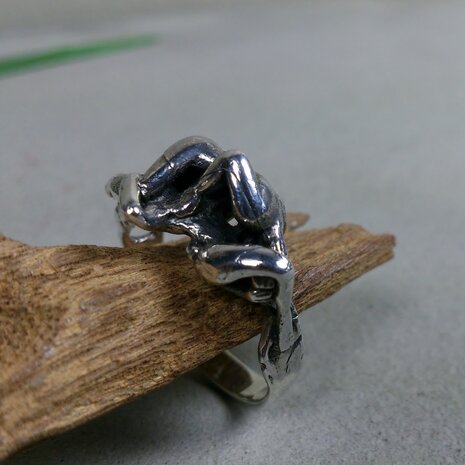 zilveren ring