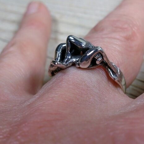 ring met sexstandje