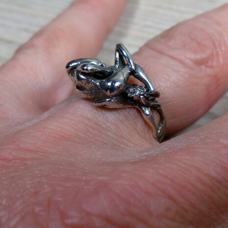 zilveren ring