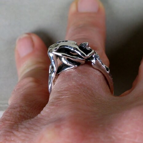 zilveren ring met standje