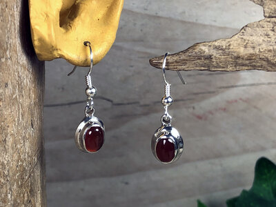 oorbellen carneool zilver