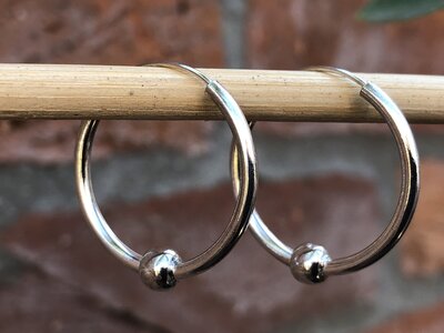 oorringen zilver 2 mm dik - Ø 25mm