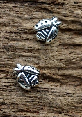 oorknopjes lievebees echt zilver