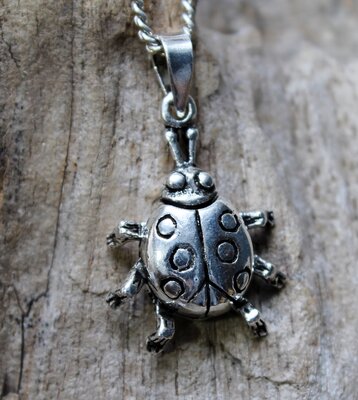 hanger echt zilver lieveheersbeestje