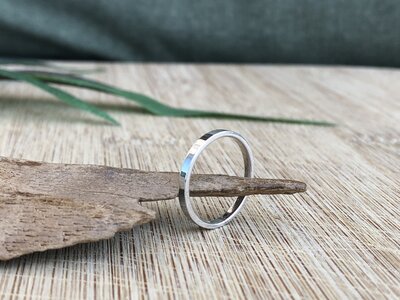 pinkring glad zilver (maat 16)