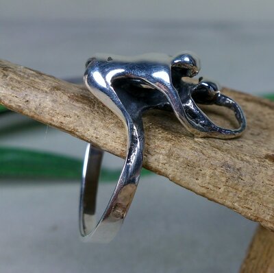 ring erotisch zilver (maat 18)