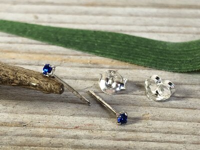 oorstekers zilver blauw steentje - toas.nl